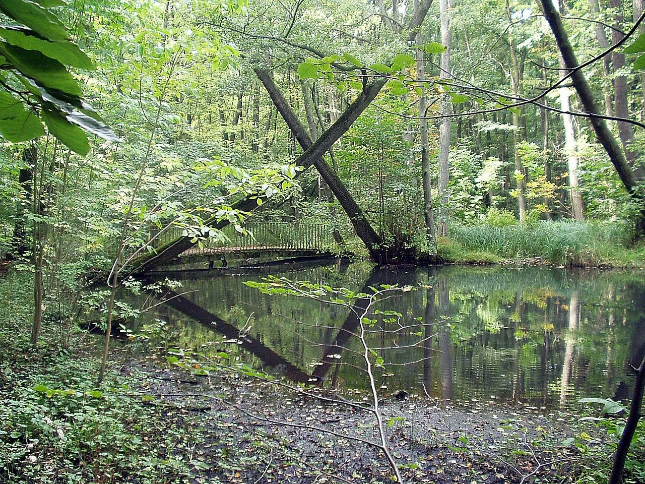 Rundwanderweg - Fluss Schwärze