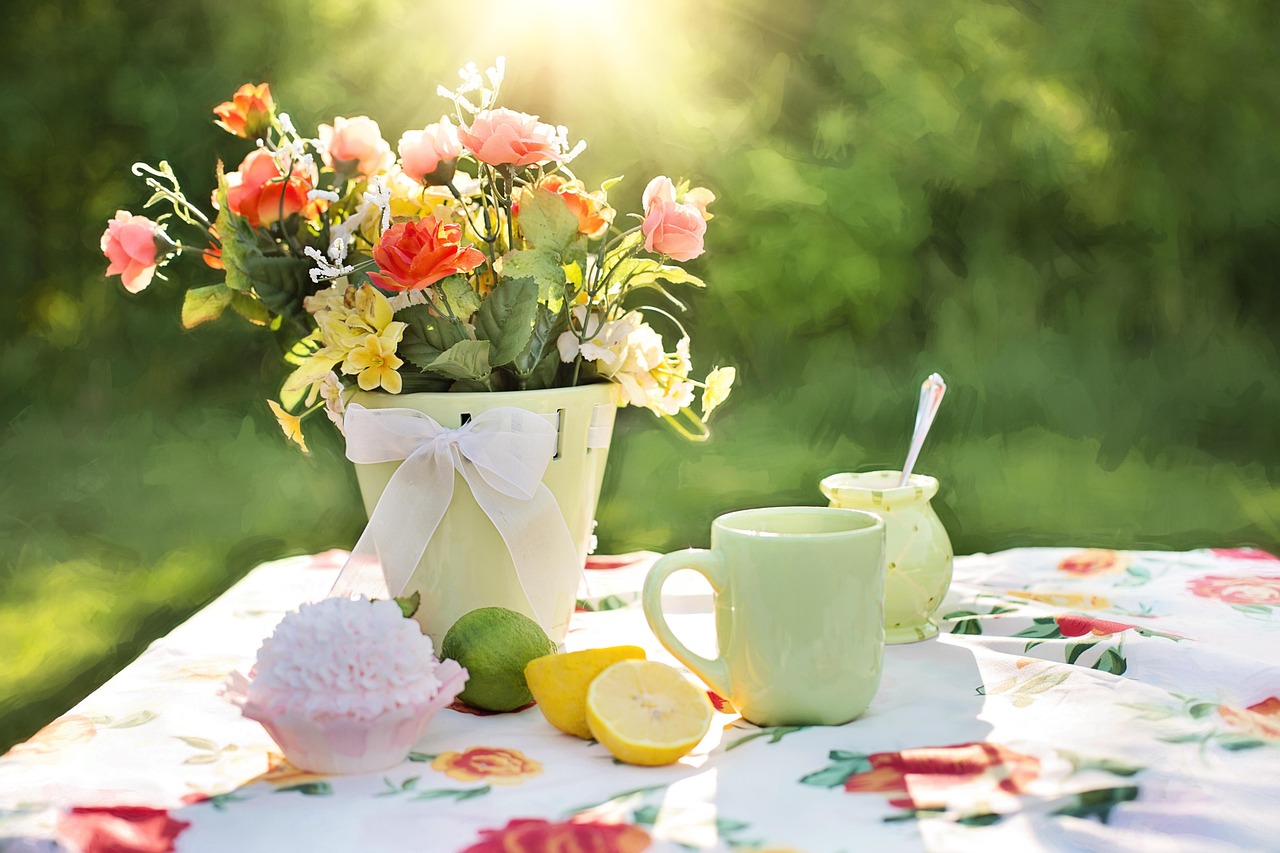 garten sommer